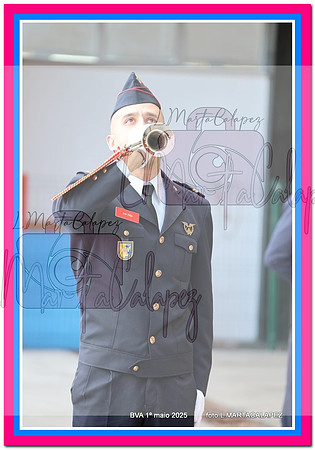 IMG_5153