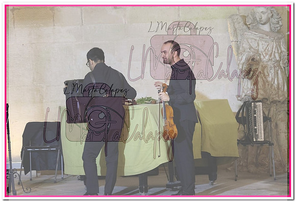 IMG_5328
