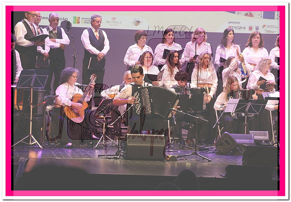 IMG_5933