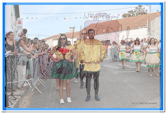 IMG_0955