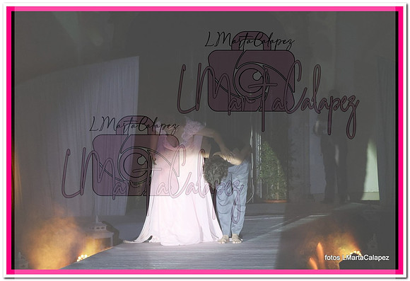 IMG_3642
