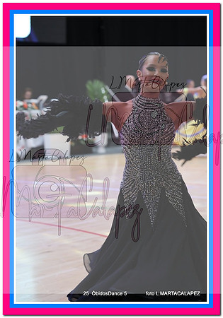 IMG_7395-001