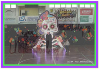 AACD Coco 24-2